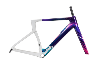 CUSTOM COLOR FEE - $99